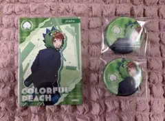 からぴち じゃぱぱ ブロマイド 缶バッジセット