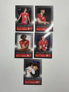 日本バレーボール選手トレーディングカードセット