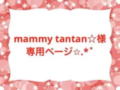mammy tantan☆様専用ページ✩.*˚