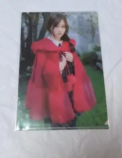 ヤングガンガン付録　　乃木坂46　星野みなみ　クリアファイル