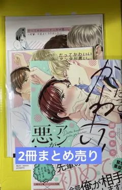 だって可愛いアンタが悪い。 求婚は計画的に 園瀬もち まとめ売り コミコミ小冊子