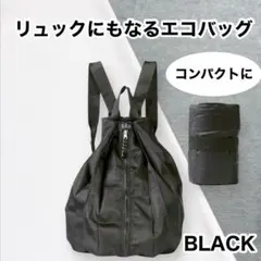 Item thumbnail for item f4561a1f-dac8-4c2c-8816-4bb26caf8758