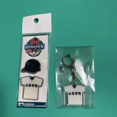山梨学院　キーホルダー&ピンバッジ