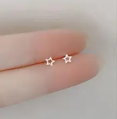 星型 シルバーピアス