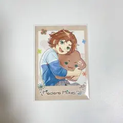 あんスタ　童心珍蔵　ポラロイド　ins風カード　ぱしゃっつ　三毛縞斑