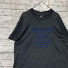 USA製90sヴィンテージTシャツ！シングルステッチ　グレー半袖古着　L72