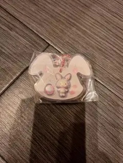 ♡*様 サンリオパッケージチャーム