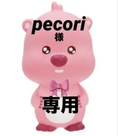 pecori様 専用ページです★