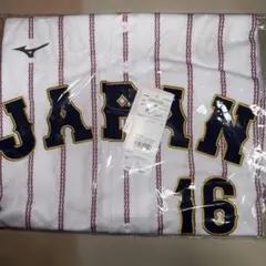 Item thumbnail for item 6a9bc7a9-d98c-4aaa-88a1-a570114cc606