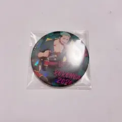 ワンピース　ONE PIECE 輩缶バッジ 29 ゾロ