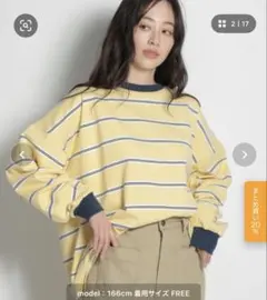 niko and... マルチボーダービッグT