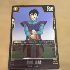 ピノさま専用　ドラゴンボールカード ピノさま専用 ドラゴンボールカード - メルカリ
