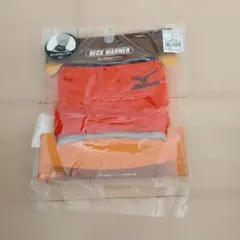 Item thumbnail for item c3c72e96-8dd9-4310-b4b8-e32a0262a5f6