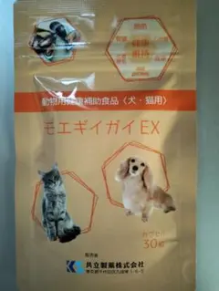 Item thumbnail for item fe4a6101-9bf4-440b-b9df-6f96640921e8