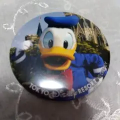 ★本日限定値下げ★ディズニーリゾート★　ドナルドダック　実写　缶バッジ