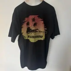 【中古品】NEIGHBORHOOD ネイバーフッド メンズTシャツ　L ブラック
