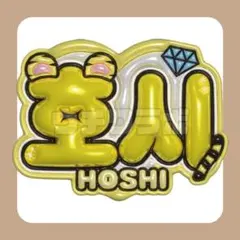 セブチ　seventeen ホシ　ぷっくり　ネームボード　うちわ文字