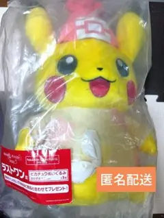 ポケモンくじ ラストワン賞 ピカチュウぬいぐるみ 女の子主人公Ｖｅｒ．