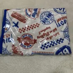 Item thumbnail for item 47bcb40d-61e6-436b-9048-e54e7acc0e30