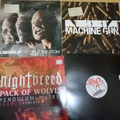 【ジャンク】Noisia & Pendulamレコード4点