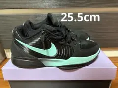 最安値　Nike Ja 2 