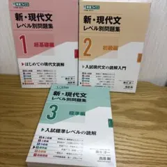 新・現代文 レベル別問題集 1, 2, 3 セット