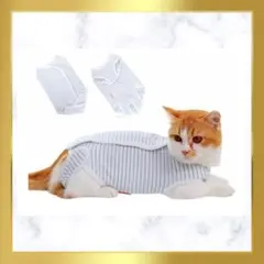 Item thumbnail for item 546602c0-fb19-4666-8323-544dd2f7d5cc