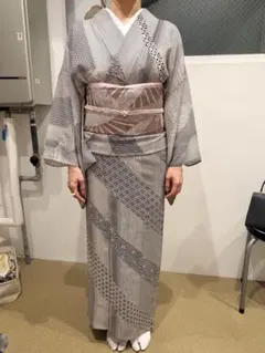 夏着物 絽 訪問着 帯セットのサムネイル