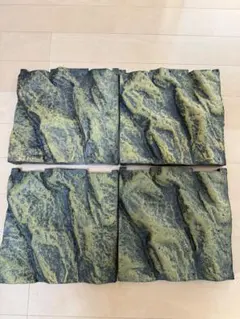 2026年最新】バックボード 爬虫類の人気アイテム - メルカリ