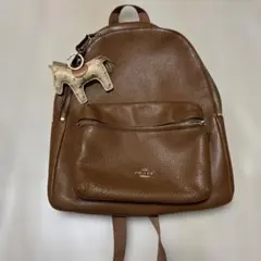 COACH リュック ショルダーバッグ 2way ブラウン系 CU076 新品 - メルカリ