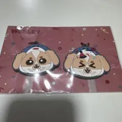 Item thumbnail for item 7e806863-28aa-47af-8ae4-6855bd12e17a