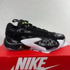 25cm NIKE JORDAN ルカ2 DZ3498-017