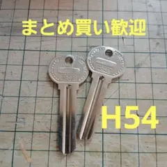 ブランク H54D 2本セット
