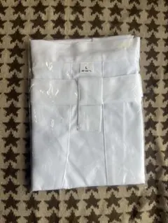 Item thumbnail for item 5ed3846f-54f8-49db-80c8-26fb846ebb4c