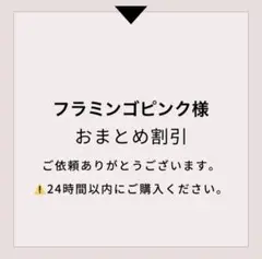 フラミンゴピンク様 リクエスト 2点 まとめ商品