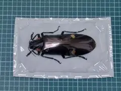 斉藤一弘様 リクエスト 3点 まとめ商品