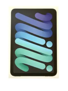 【美品】iPad mini 第7世代 A17 Pro 128GB Wi-Fi