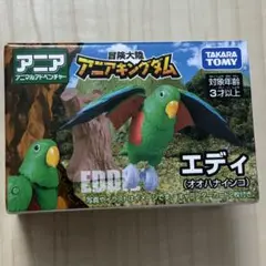 アニア 冒険大陸 アニアキングダム エディ（オオハナインコ）