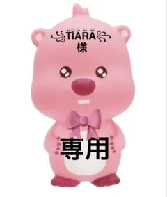 ꧁T̆̈Ĭ̈Ă̈R̆̈Ă̈꧂様 専用ページです★