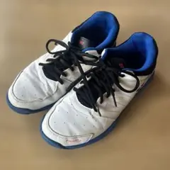 テニスシューズ　25センチ　ヨネックス