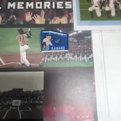 FIGHTERS 河野選手 記念バッジ 28