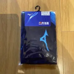 Item thumbnail for item 33977d83-c8e0-4be9-9c41-fbbc463aee8a