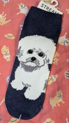 Item thumbnail for item bbd3c74c-6849-4a57-a5be-7973cf46a429