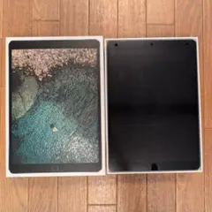 iPadPro10.5 スペースグレイ64GB　Appleペンシル付ケース2個付
