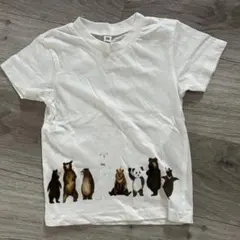 西松屋 くま パンダ 半袖 Tシャツ 100 白 アニマル リアルイラストのサムネイル