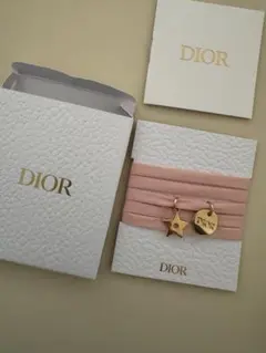 Dior 非売品 ノベルティ ブレスレット チョーカー