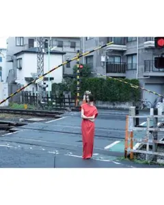 Item thumbnail for item 54582c81-575e-43b9-92af-487facd75fbc