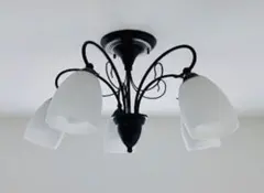 Item thumbnail for item be4f7523-14e4-4dfb-9f85-9cef47942786