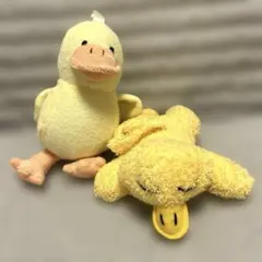 Item thumbnail for item e880c6be-d097-49f6-8d6b-2f4451d852fd