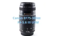 美品　CANON EOS Kiss X9望遠レンズセット/EF 75-300mm Canon デジタル一眼レフカメラ EOS Kiss X9